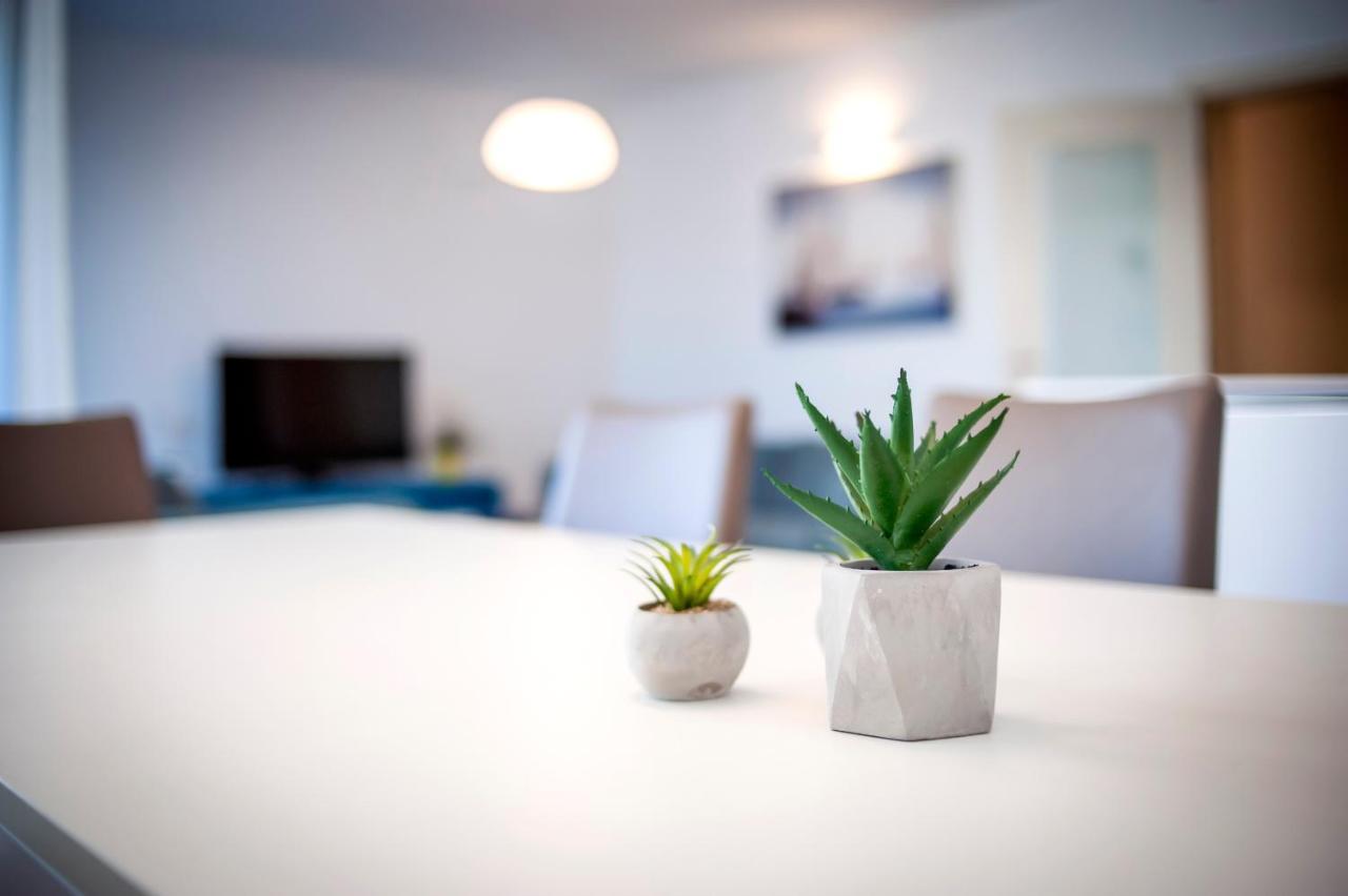 Sunny Day - Apartment With Parking Rovinj Bagian luar foto